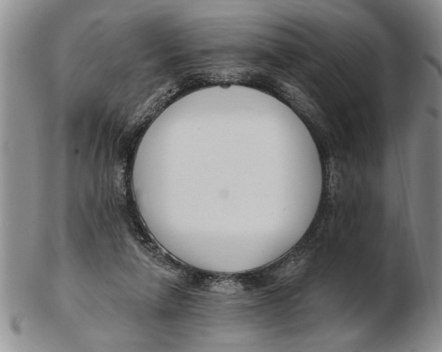 X0000102350258200808221700