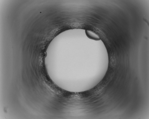 X0000102350259200808221700