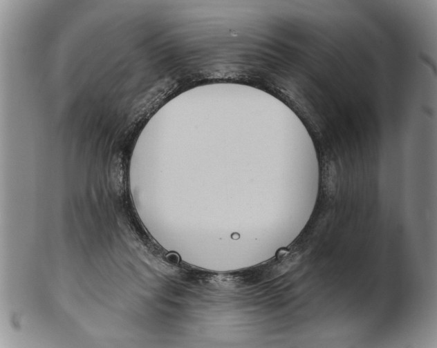 X0000102350261200808221700