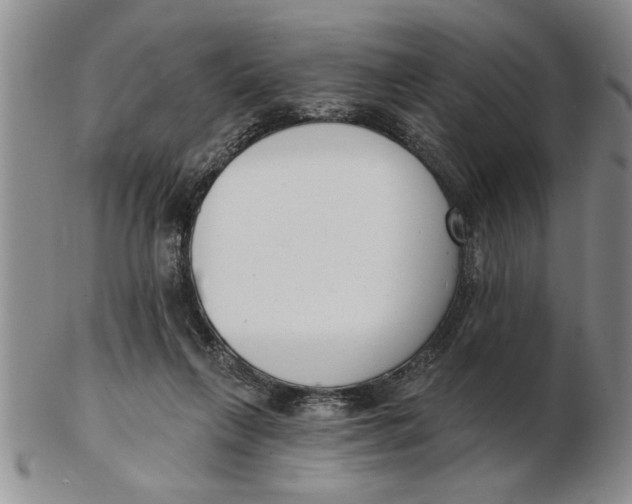 X0000102350263200808221700