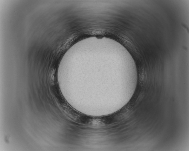 X0000102350264200808221700