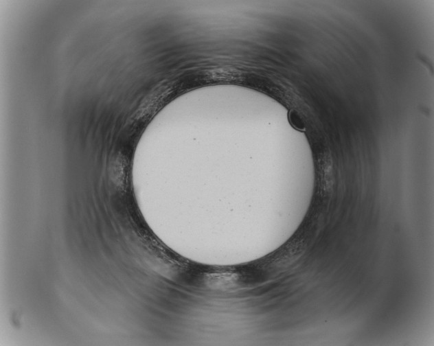 X0000102350266200808221700