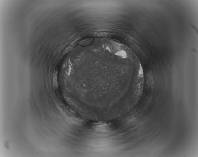 X0000102350267200808221700
