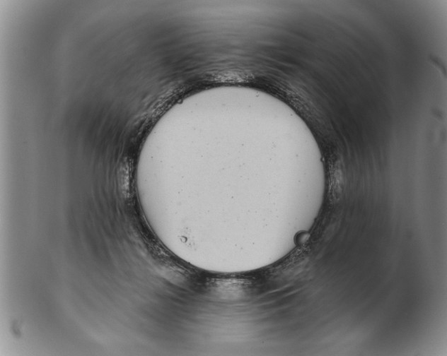 X0000102350268200808221700