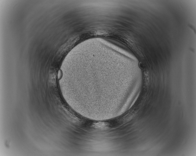X0000102350269200808221700