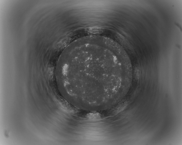 X0000102350271200808221700
