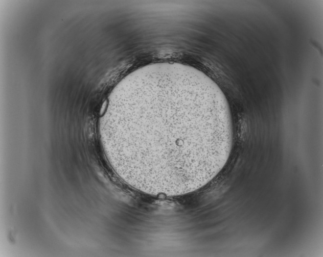 X0000102350272200808221700