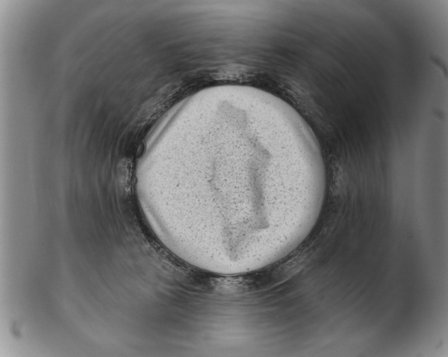 X0000102350273200808221700