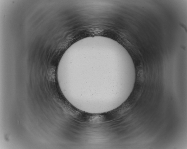 X0000102350274200808221700