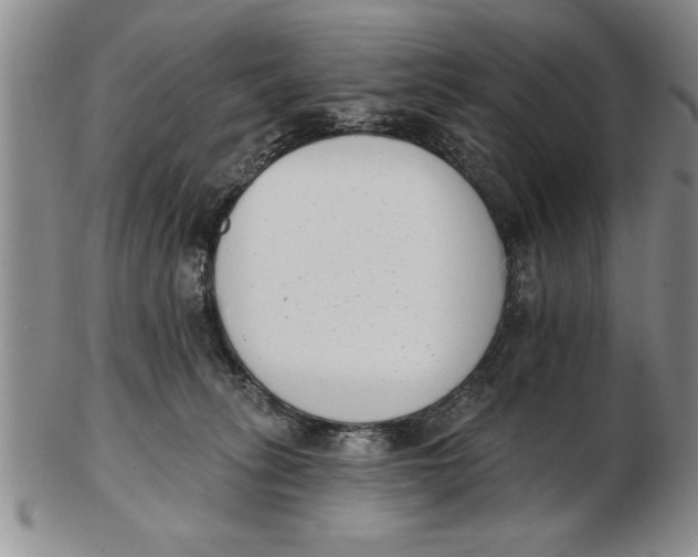 X0000102350275200808221700