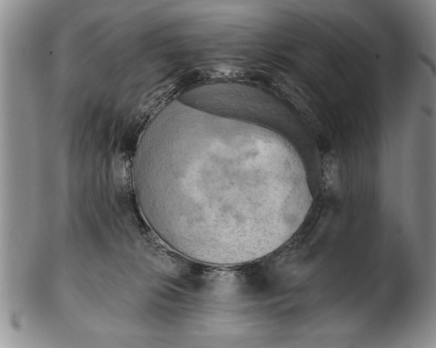 X0000102350276200808221700