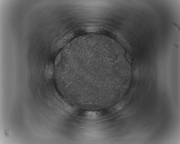 X0000102350277200808221700