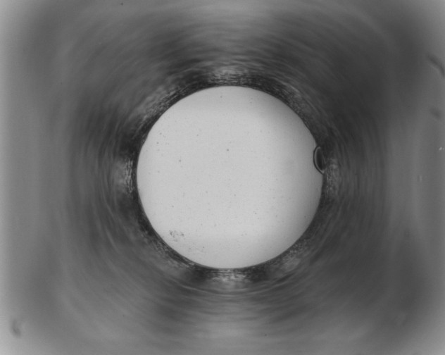 X0000102350278200808221700