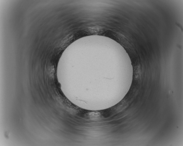 X0000102350279200808221700