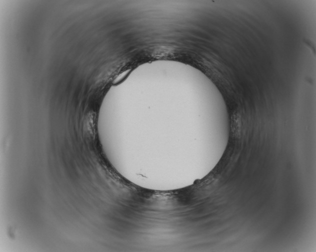 X0000102350280200808221700
