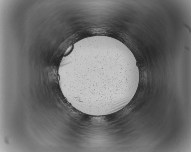 X0000102350281200808221700