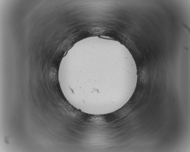 X0000102350283200808221700