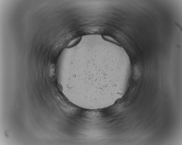 X0000102350284200808221700
