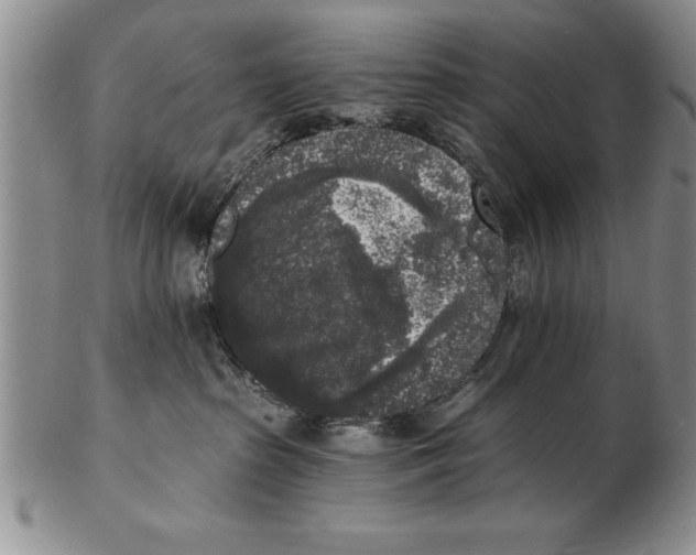 X0000102350285200808221700