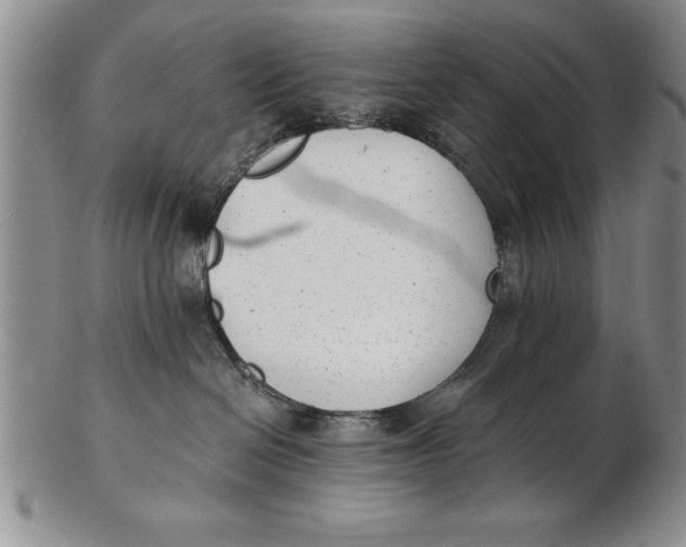 X0000102350286200808221700