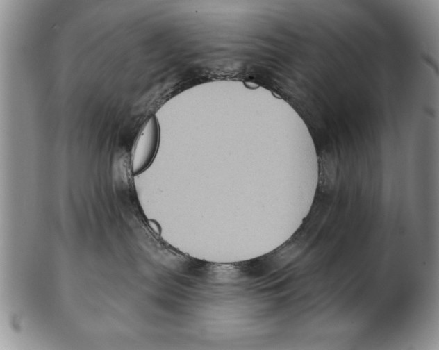 X0000102350287200808221700