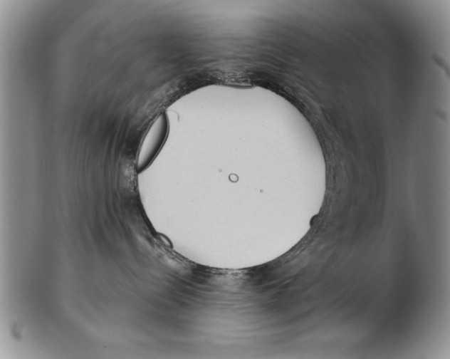X0000102350288200808221700