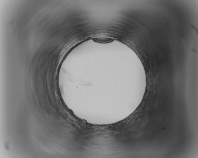 X0000102350289200808221700