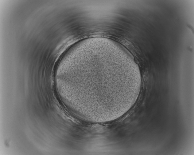 X0000102350290200808221700