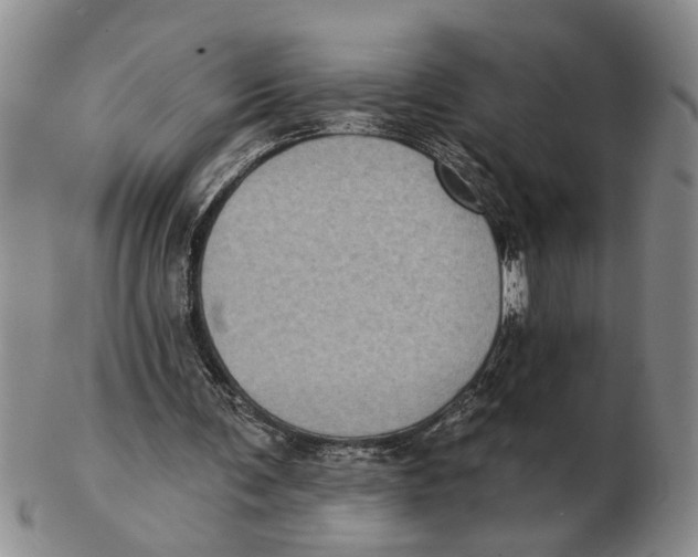 X0000102350291200808221700