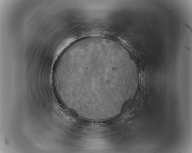 X0000102350292200808221700