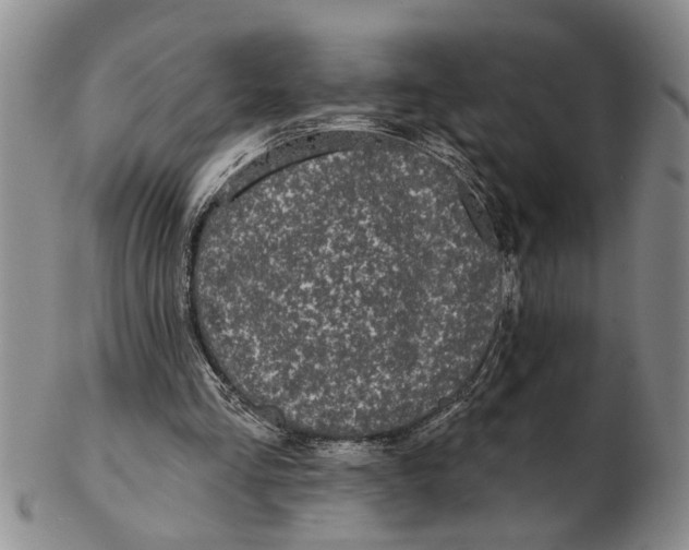 X0000102350293200808221700