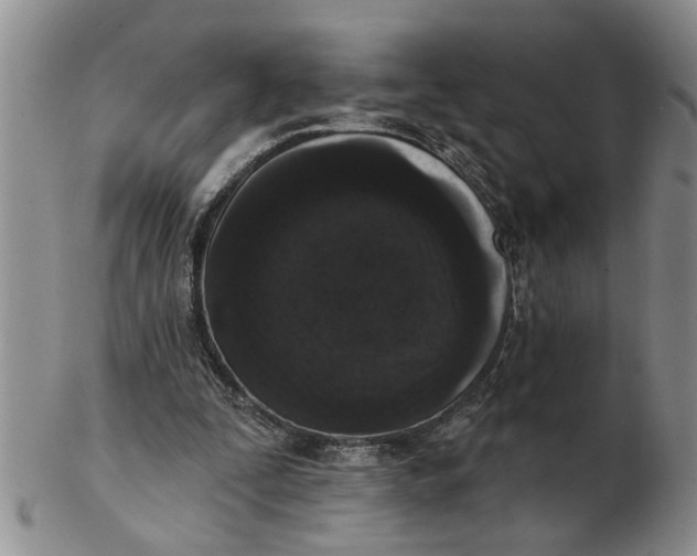 X0000102350295200808221700