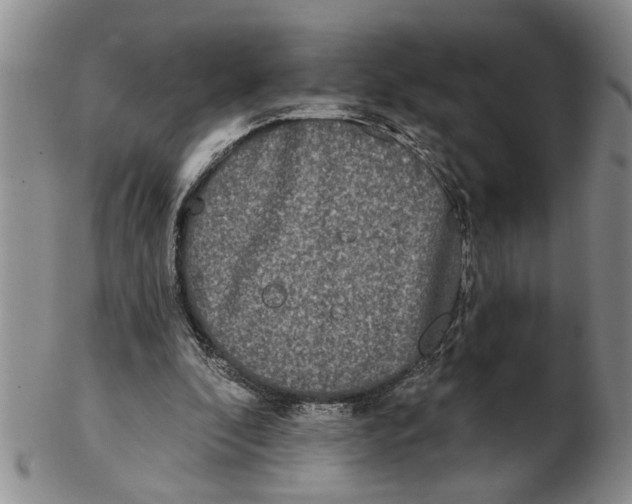 X0000102350296200808221700