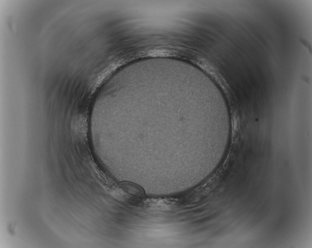 X0000102350297200808221700