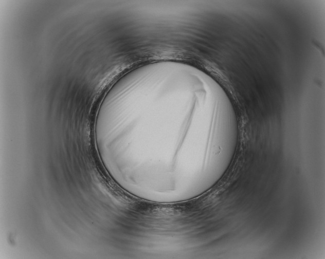 X0000102350298200808221700
