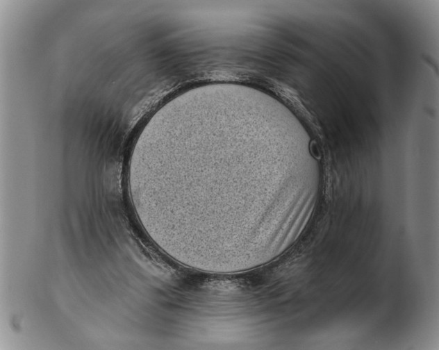X0000102350299200808221659