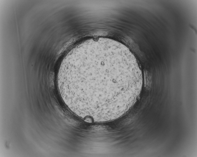 X0000102350300200808221659