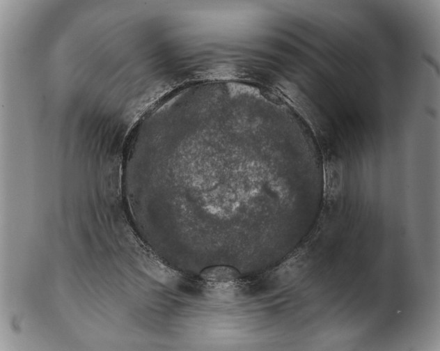 X0000102350301200808221659