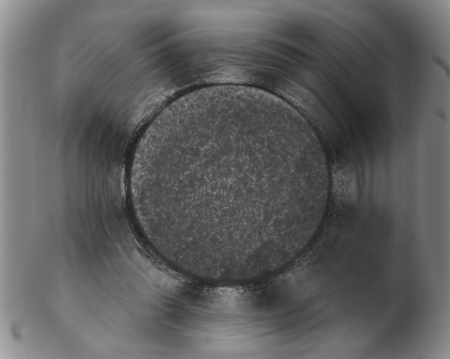 X0000102350302200808221659