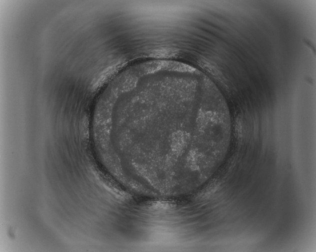 X0000102350303200808221659