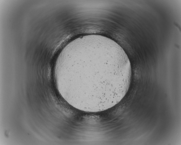 X0000102350304200808221659