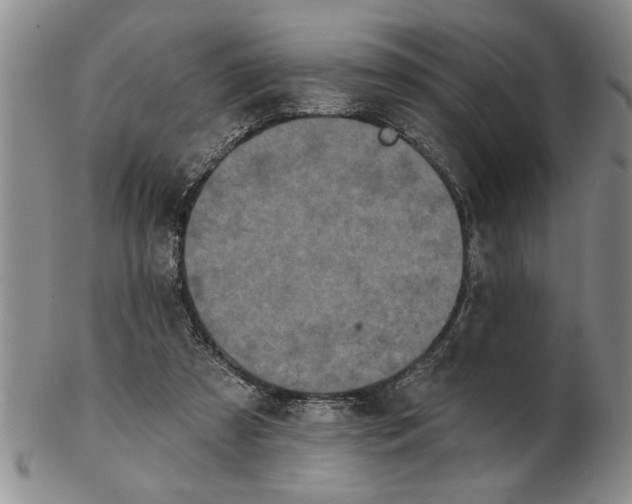 X0000102350305200808221659