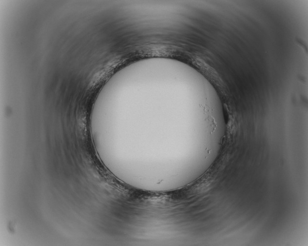 X0000102350306200808221659