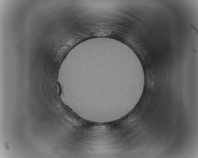 X0000102350307200808221659