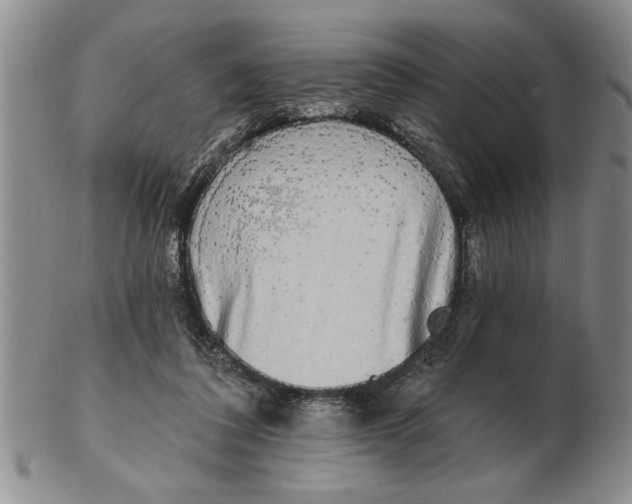 X0000102350308200808221659