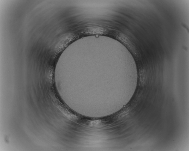 X0000102350309200808221659