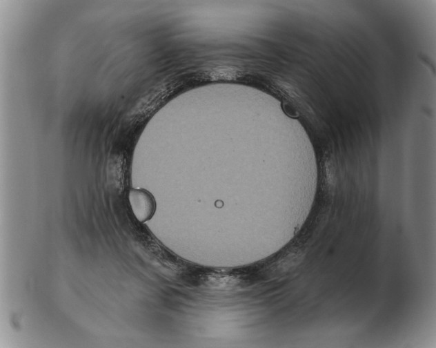 X0000102350311200808221659