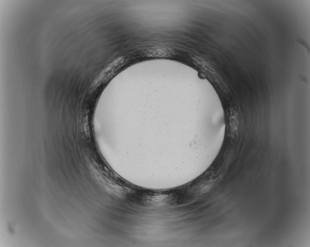 X0000102350312200808221659
