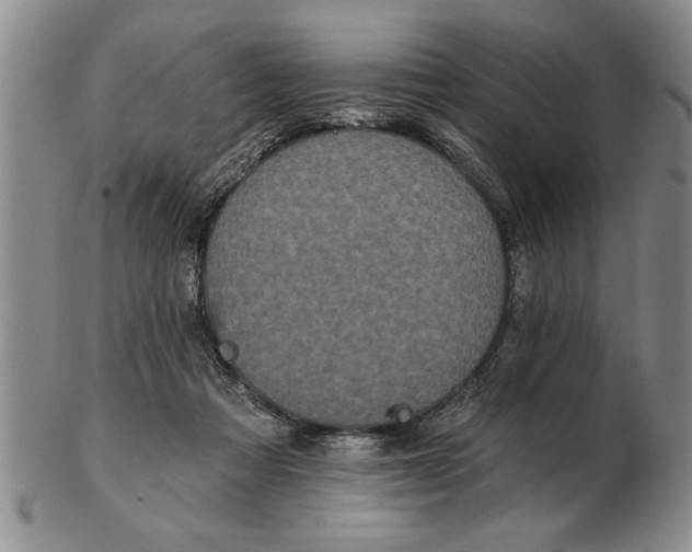 X0000102350313200808221659