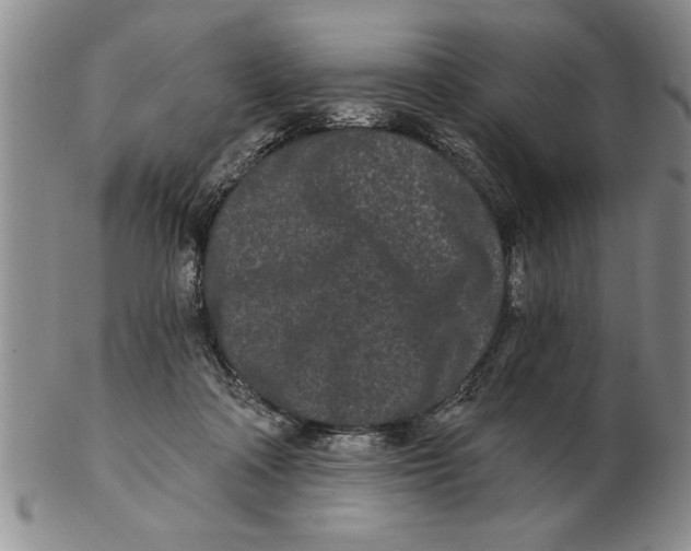 X0000102350314200808221659